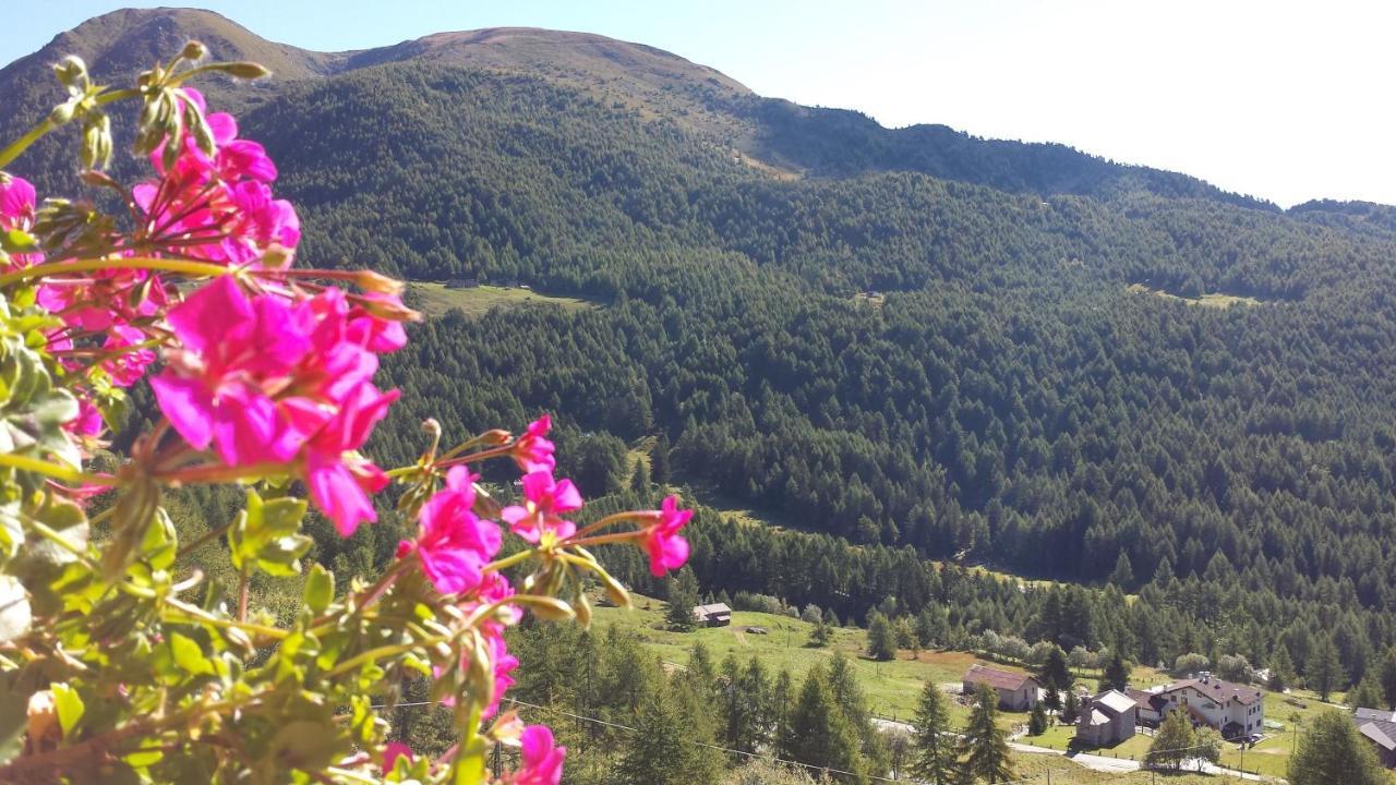 فندق Belvedere Mountain Experience Monno المظهر الخارجي الصورة
