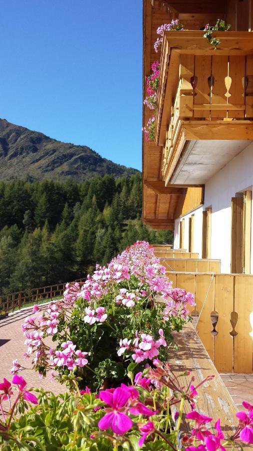 فندق Belvedere Mountain Experience Monno المظهر الخارجي الصورة